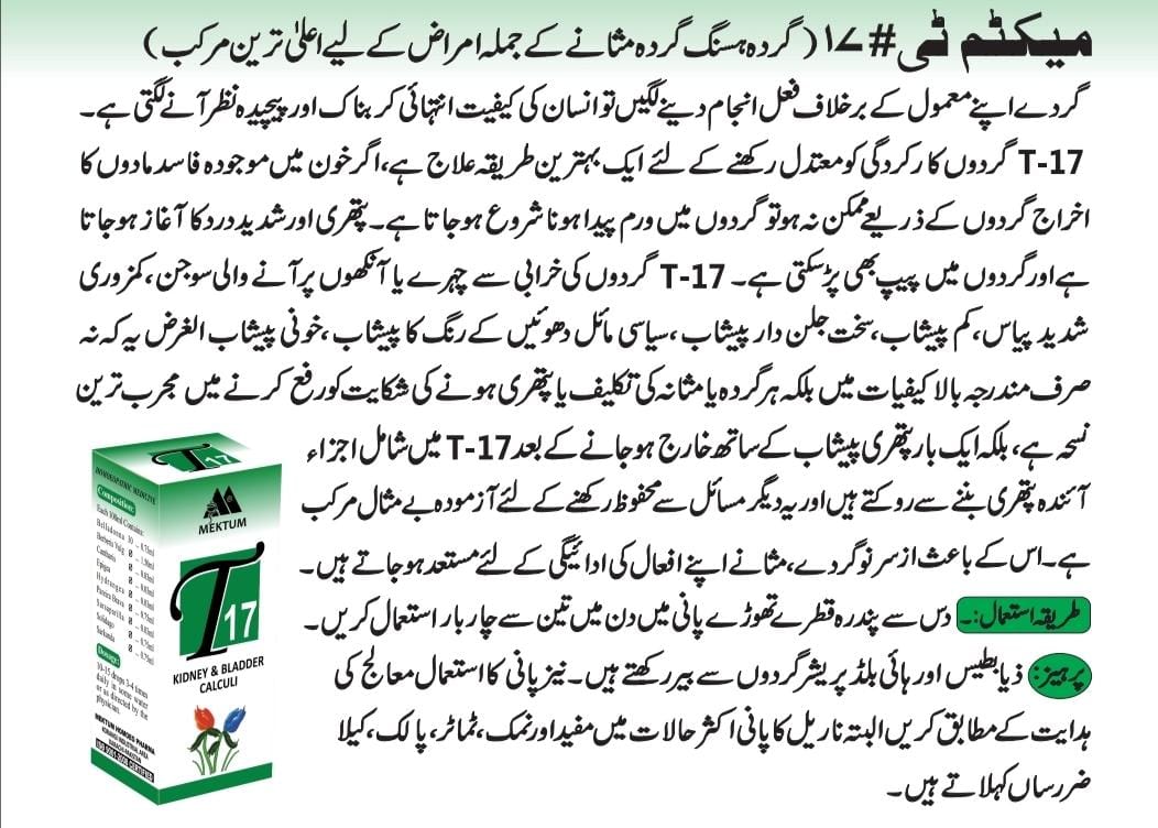homeopathic medicine for kidney stones